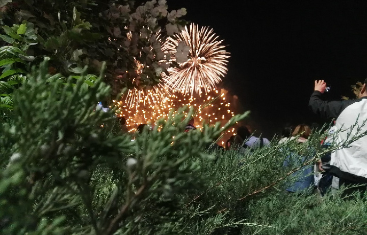 Bayram qilishni o‘rgandikmi? Kechagi mushakbozlikning qayeri o‘xshamadi? (foto)