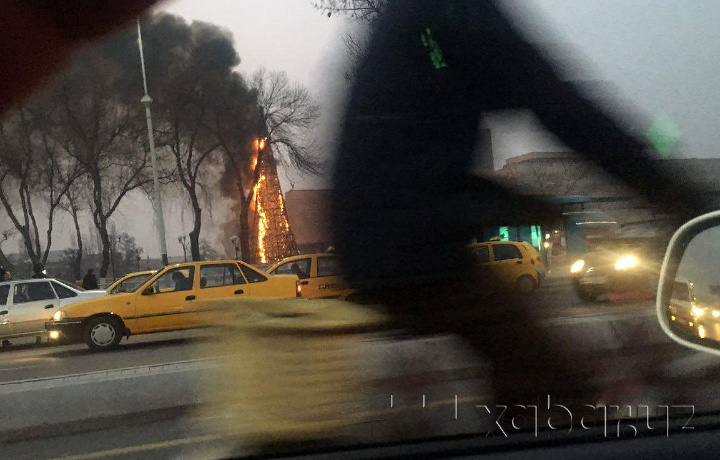 Qo‘qonda Yangi yil archasi yonib ketdi (foto)
