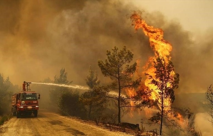В России в 5 км от населенных пунктов действует восемь очагов лесных пожаров