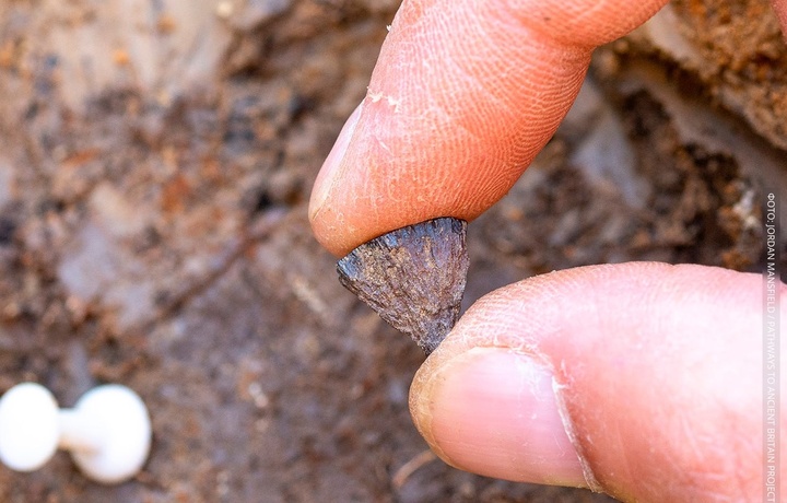 Olov yoqish 400 ming yil avval paydo bo‘lgan — tadqiqot