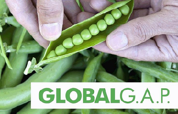 O‘zbekistonda maqbul agrokultura amaliyoti qabul qilinadi