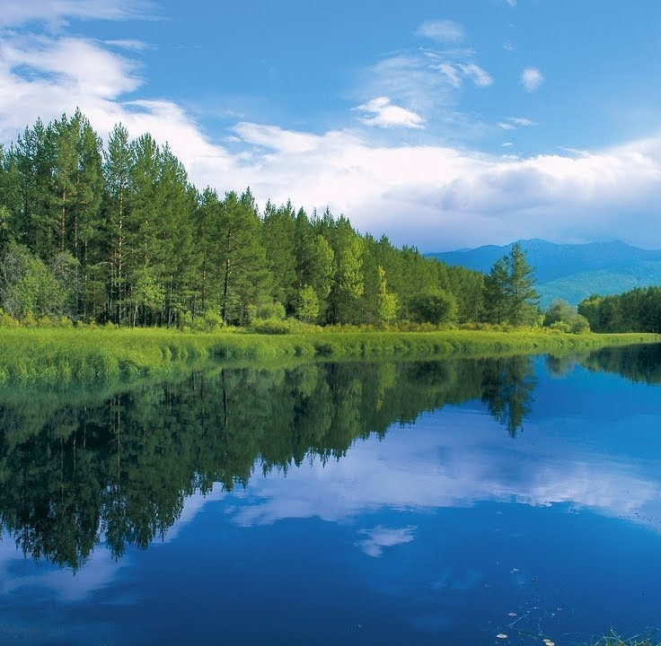 Syzranda uy qurilishi porno Porno modellar xxxl