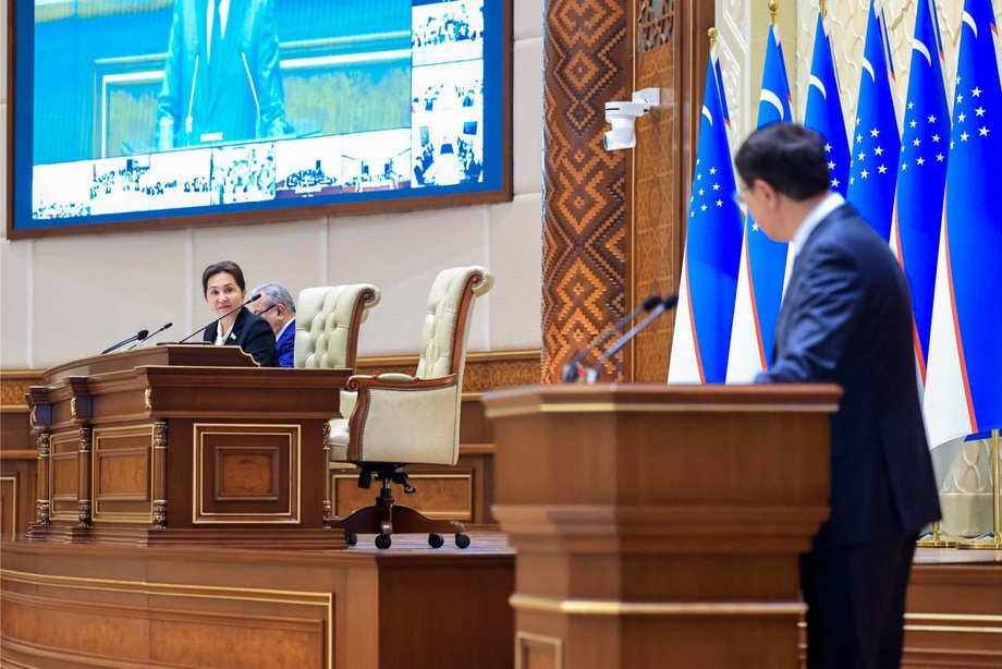 Сенат утвердил бюджет Узбекистана на 2025 год