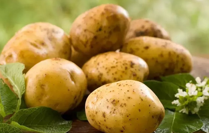 Что происходит с вашим телом при поедании картошки