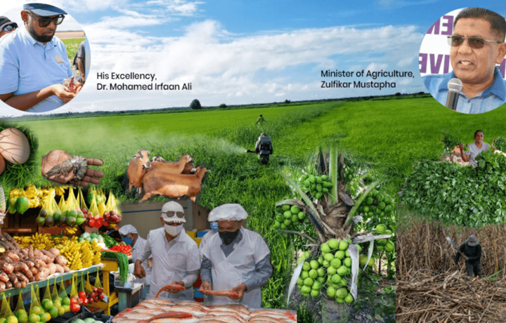 Озиқ-овқат мустақиллигига эришган ягона мамлакат (видео)