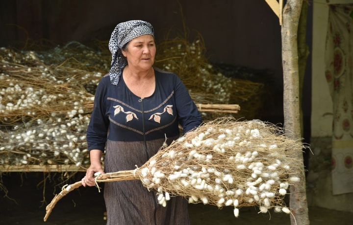 Ayrim mavsumiy xodimlarga soliq imtiyozlari berilishi mumkin