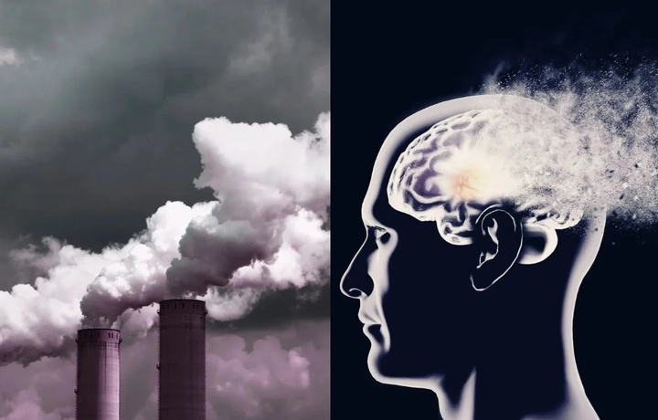 Kuchli havo ifloslanishi Alsgeymer kasalligi xavfini oshiradi