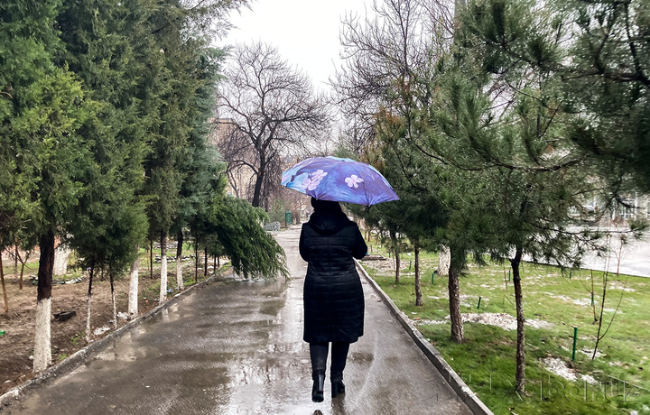Сегодня в Ташкенте и ряде регионов ожидается дождь
