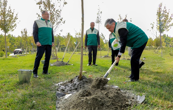 В Самарканде в честь 80-летия ЮНЕСКО будет высажено 80 тысяч деревьев и кустарников