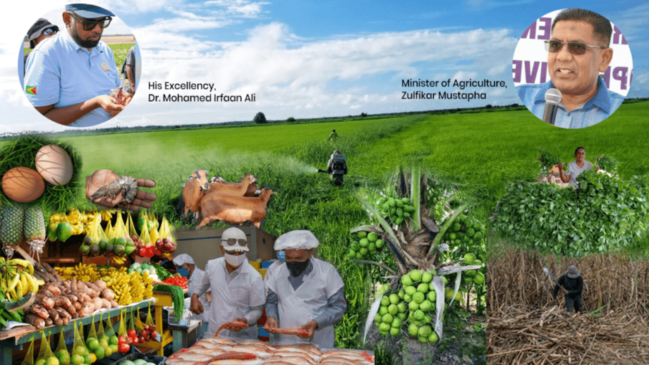 Oziq-ovqat mustaqilligiga erishgan yagona mamlakat (video)