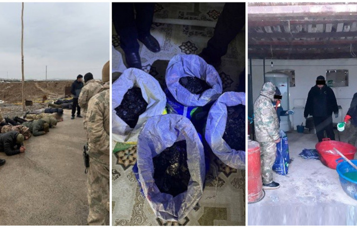 Навоийда олтин қазувчилар ушланди