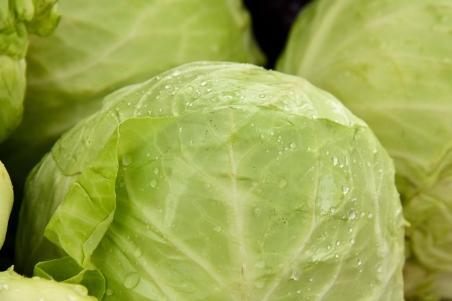 Диетолог назвала продукты для сохранения молодости кожи