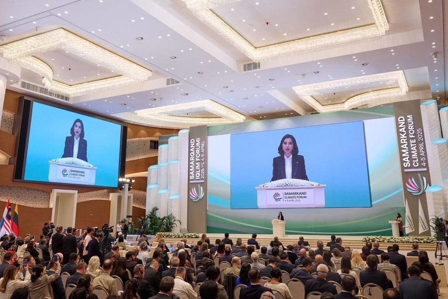 Orolbo‘yini rivojlantirish shaxsan men uchun ustuvor vazifa – Saida Mirziyoyeva