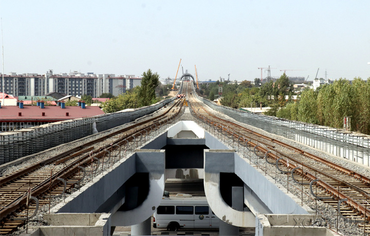 Тошкентда метро қурилиши сабаб 785 дона дарахт кўчирилади