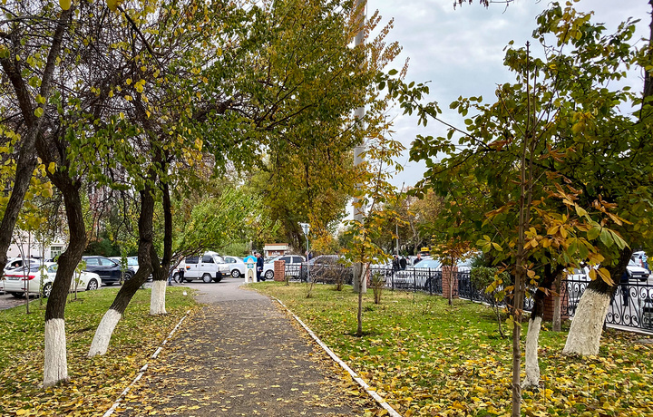 Kuzda bizni qanday ob-havo kutmoqda? Meteorologlar ma’lumoti