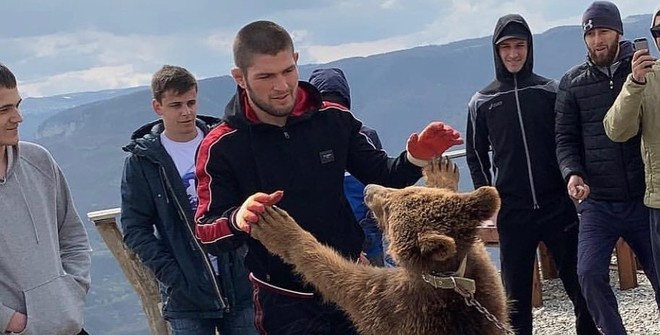 РЕТА призывает UFC пересмотреть отношения с Хабибом из-за видео с медведем