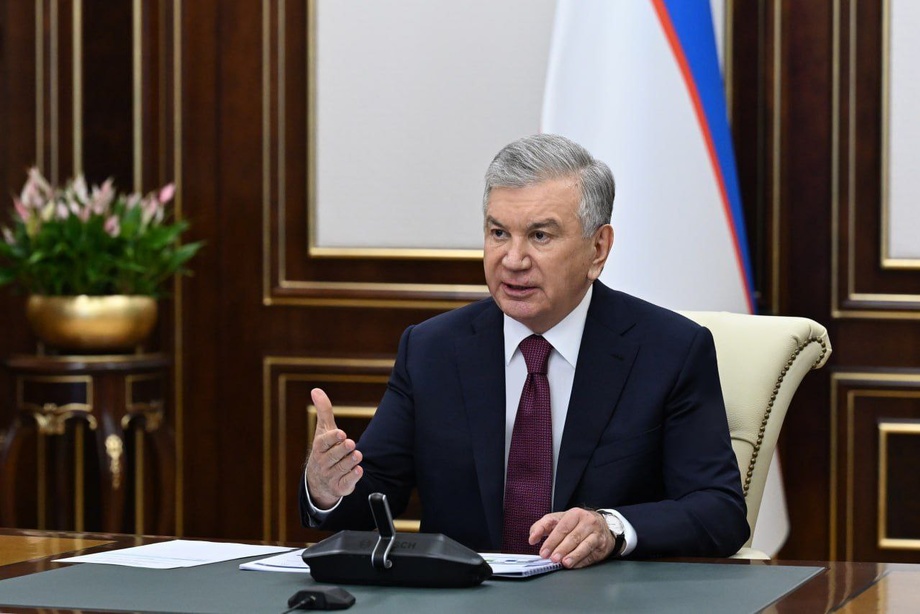 С 2026 года перепись населения будет проведена в электронном виде — через специальный портал