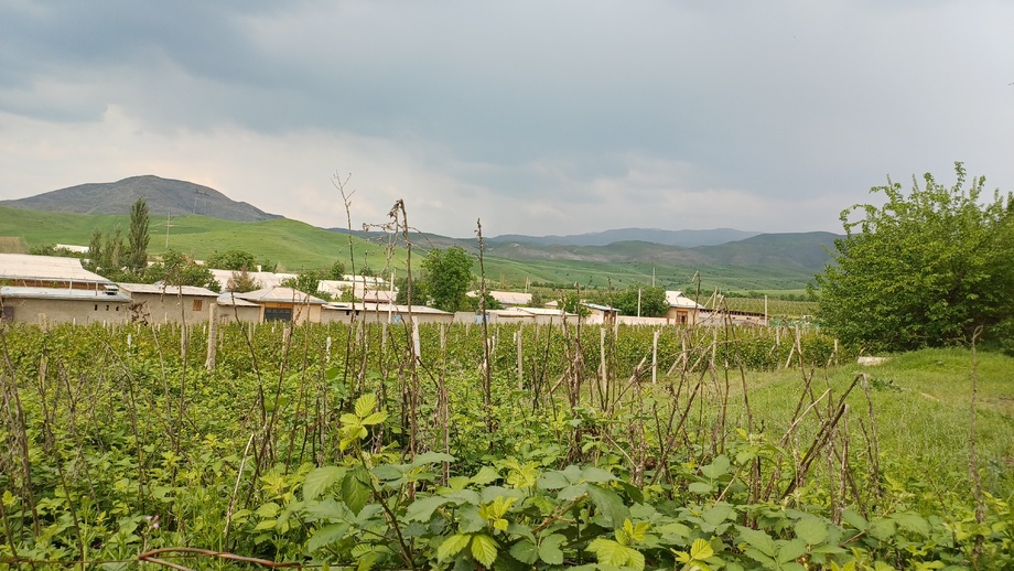 Ob-havoga oid tezkor axborot e’lon qilindi