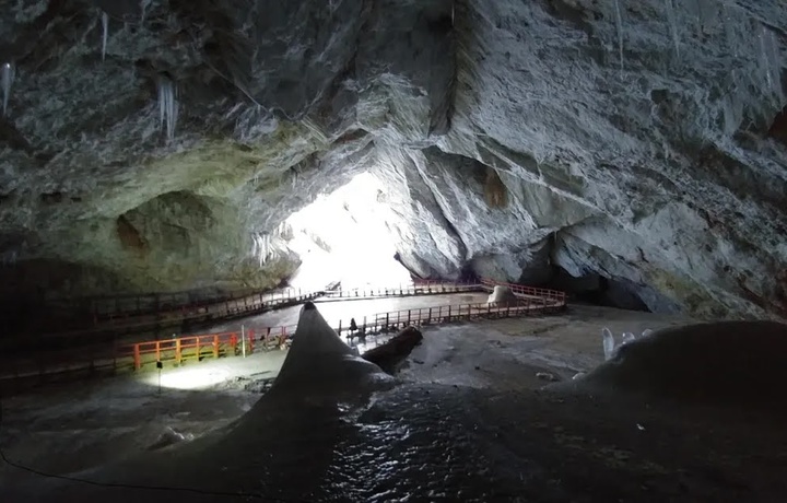 Ruminiyadagi g‘ordan halokatli bakteriya namunalari topildi