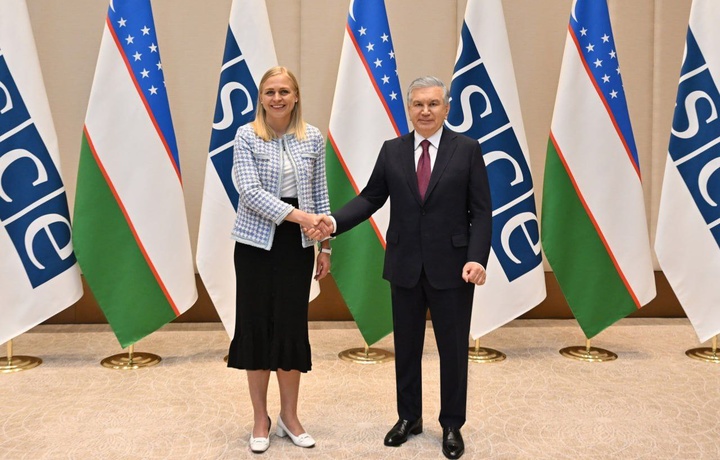 Prezident Finlyandiya tashqi ishlar vazirini qabul qildi