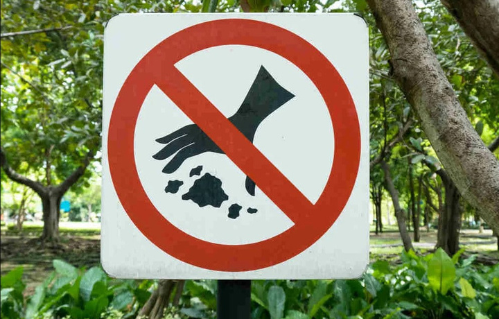 Экологик ҳуқуқбузарликлар учун молиявий санкциялар қўлланади – Президент фармони