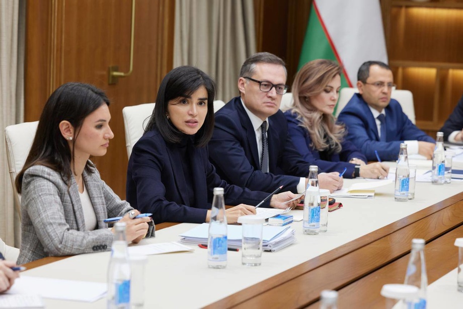 Саида Мирзиёева:«Масъулларни тегишли хулоса чиқаришга чақираман»