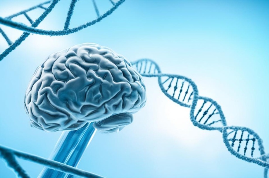 Ученые научились по генам определять болезнь Альцгеймера