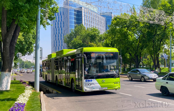 Ташкентцы стали почти в 1,5 раза чаще пользоваться автобусами