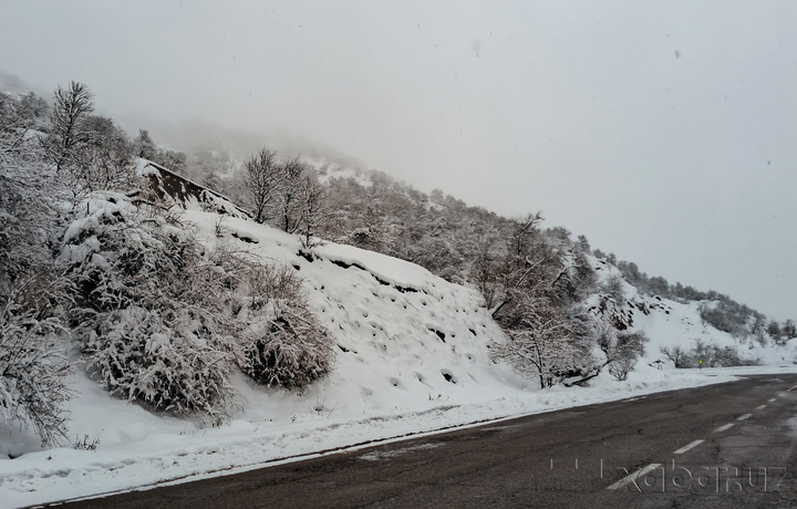 «O‘zgidromet» xodimi Mudofaa vazirligi yordamida evakuatsiya qilindi
