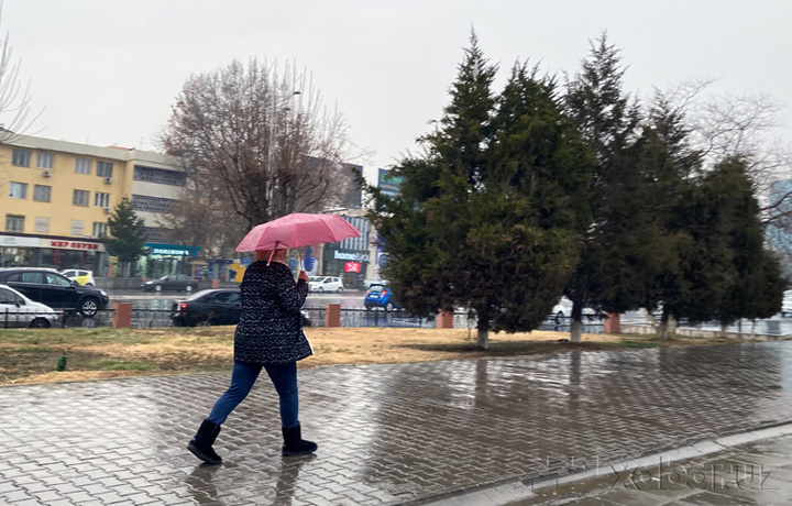 К середине недели ожидается небольшое потепление и дожди