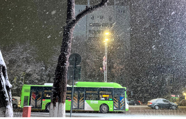 Yangi yil kechasi avtobuslar harakat vaqti uzaytiriladi