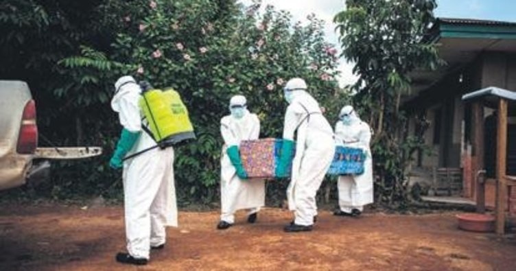 Kongoda «Ebola» virusidan halok bo‘lganlar soni oshmoqda