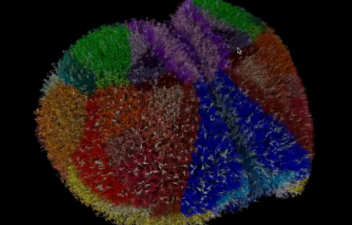 Энг батафсил виртуал мия яратилди