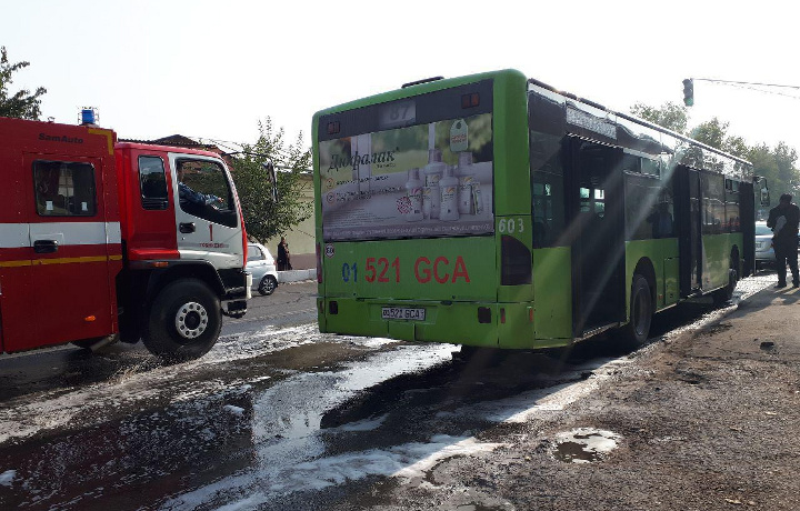 Toshkentda 87-avtobusda yong‘in chiqdi