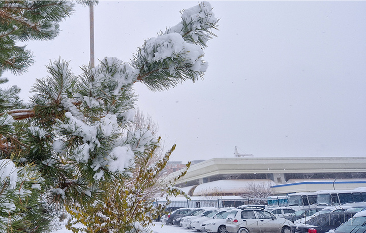 Тошкентда резидентлар учун пуллик автотураргоҳлар тарифлари белгиланди