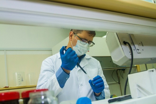 Учёные вырастили живые лёгкие для изучения коронавируса