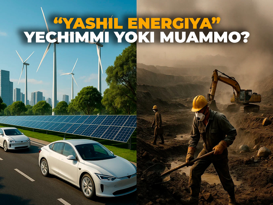«Yashil energiya» yechimmi yoki muammo?