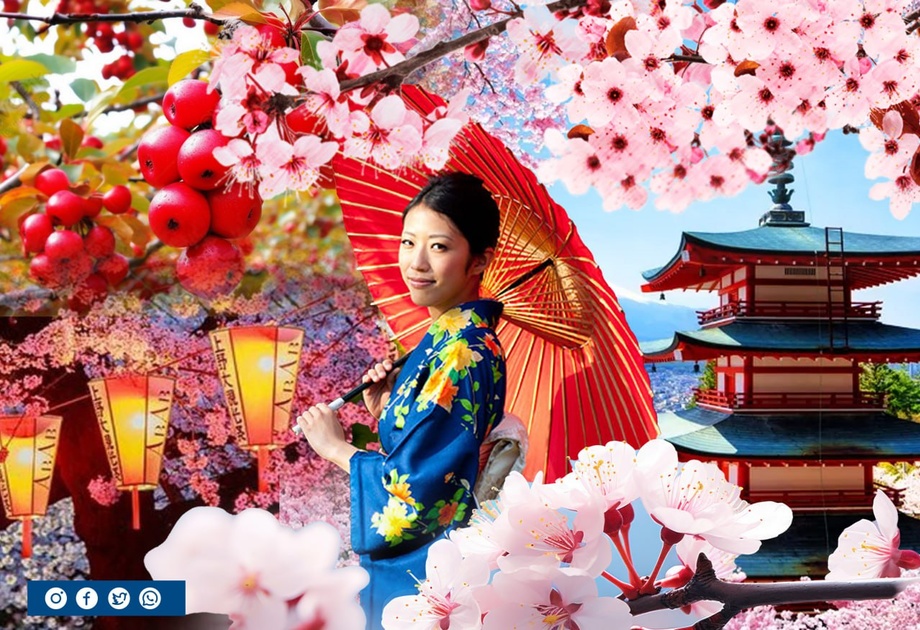 Sakura – yovvoyi olcha guli nima uchun Yaponiyada alohida qadriyatga aylangan?