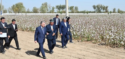 Президент посетил хлопковые поля в Сырдарье (фото)