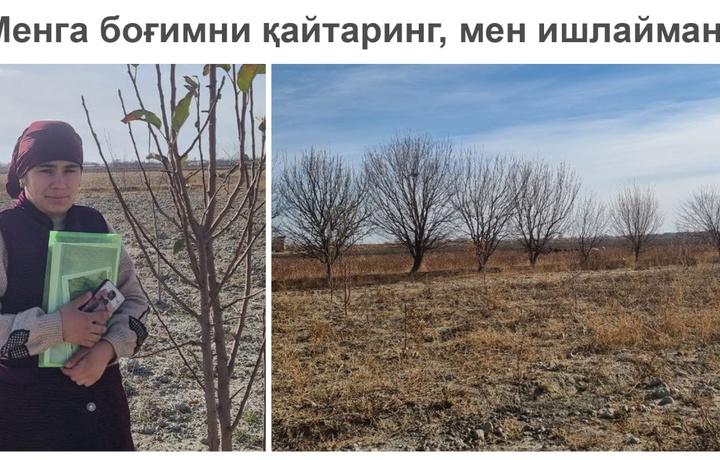 Oyoqda mahsi kalish, yelkasida ketmon ko‘targan traktorchi qiz: «Menga bog‘imni qaytaring, men ishlayman!» (video)