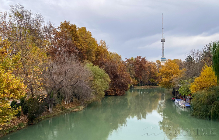Келаётган ҳафта учун об-ҳаво маълумоти эълон қилинди