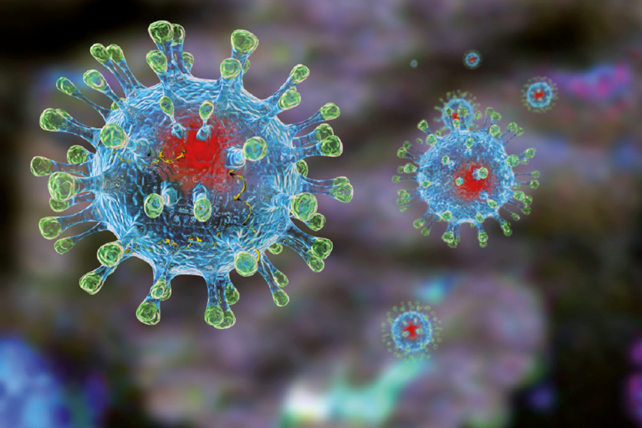 Ko‘rshapalak va koronavirus: biz bilishimiz kerak bo‘lgan ilmiy haqiqatlar