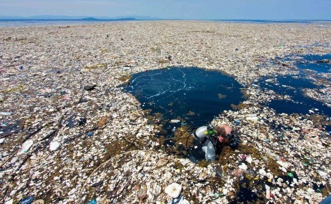 Tinch okeanidagi ulkan «plastik dog‘»: chiqindi «egalari» aniqlandi
