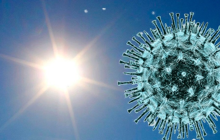 Mutaxassis yuqori havo haroratida virus faolligi nega pasaymaganiga izoh berdi