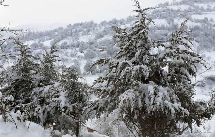 «O‘zgidromet» tezkor gidrometeorologik axborotini e’lon qildi