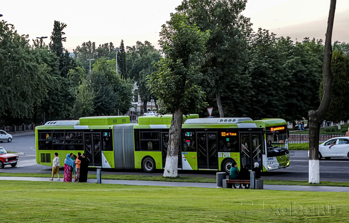 Toshkentda jamoat transportidan foydalanish darajasi 60 foizga yetkaziladi