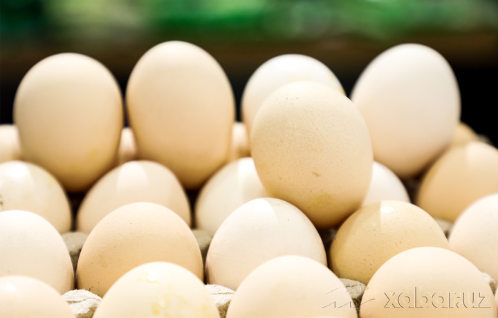 Қозоғистонга четдан товуқ тухумларини олиб кириш вақтинча чекланди