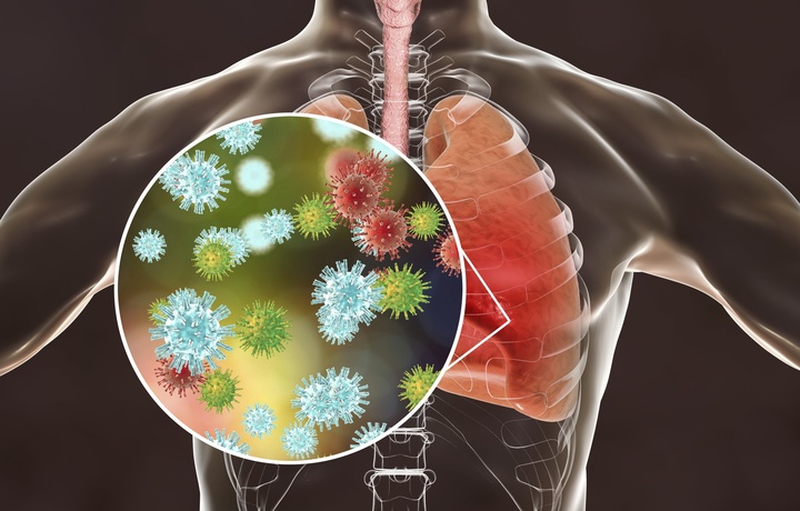 Koronavirus pandemiyasining keyingi taqdiri