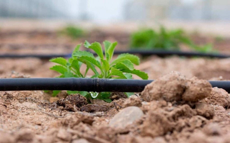 Суғоришда электр харажатларини яримгача қоплаш механизми жорий этилмоқда