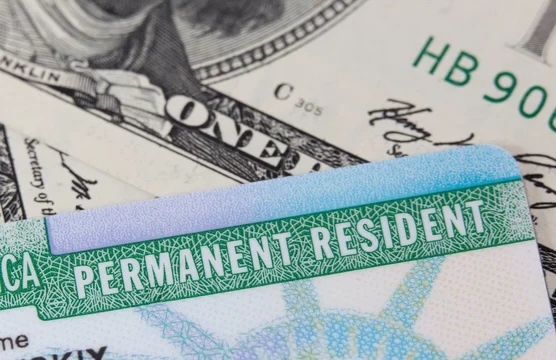 Трамп временно приостановил программу розыгрыша Green card